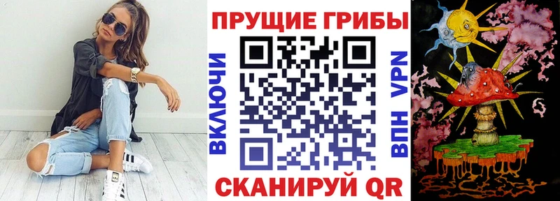 OMG   darknet как зайти  Галлюциногенные грибы Magic Shrooms  Бронницы 